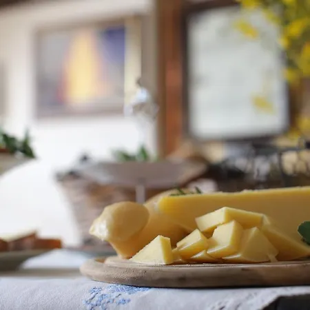 Polifemo Etna فندق مبيت وإفطار 3*