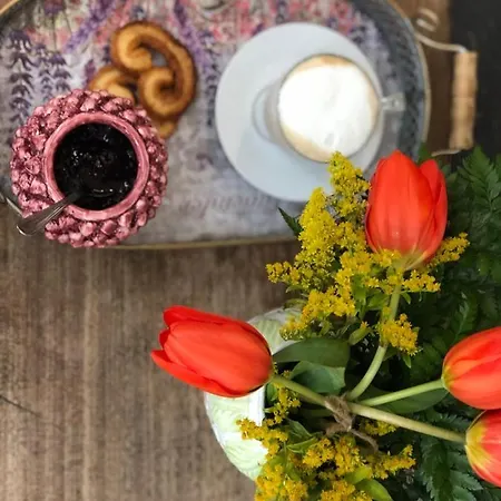 Polifemo Etna فندق مبيت وإفطار